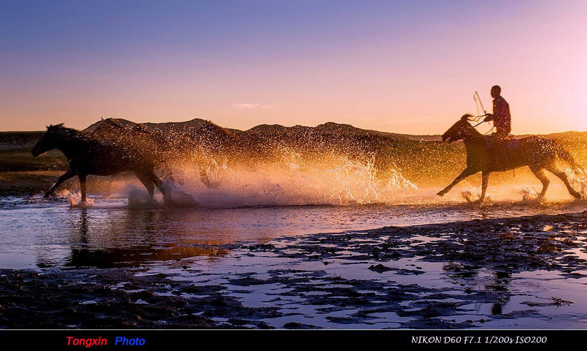 #版主坐堂# [尼康D7100星空(中国)] 2015年12月份部分精华作品总汇