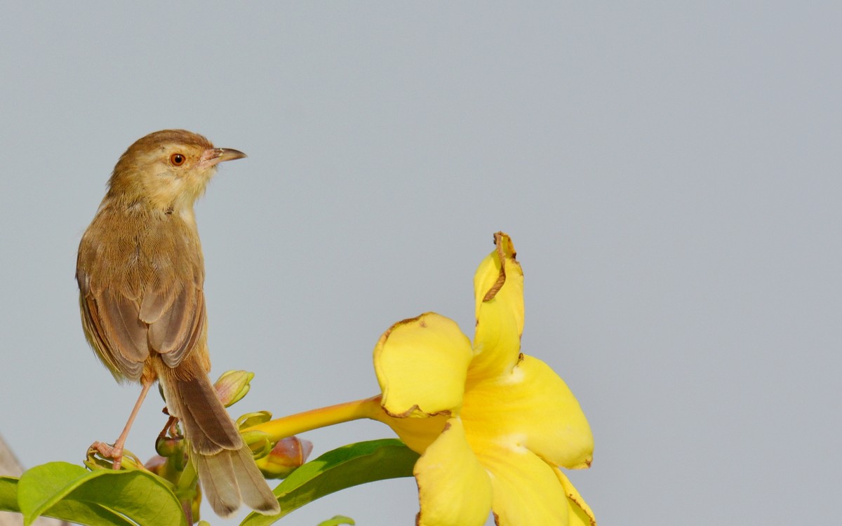 #版主坐堂# [尼康D7100星空(中国)] 2015年12月份部分精华作品总汇