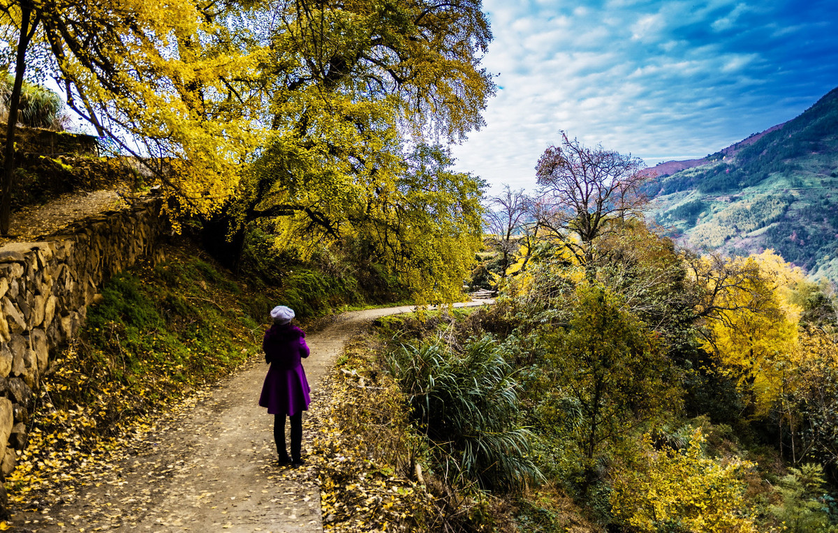 #版主坐堂# [尼康D7100星空(中国)] 2015年12月份部分精华作品总汇