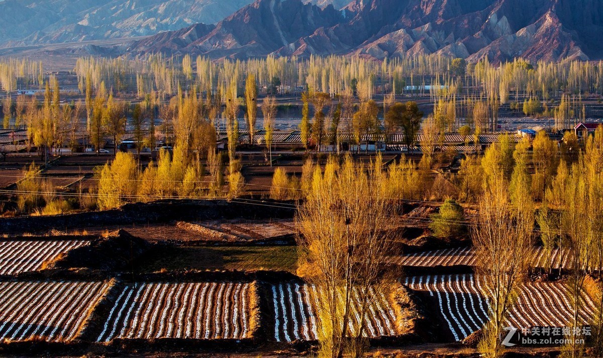 秀丽田园映霞晖（一）