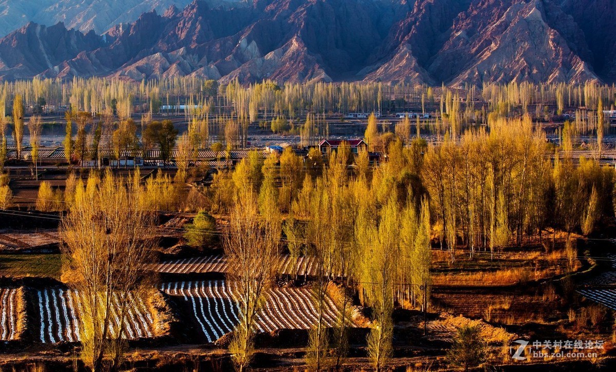 秀丽田园映霞晖（一）