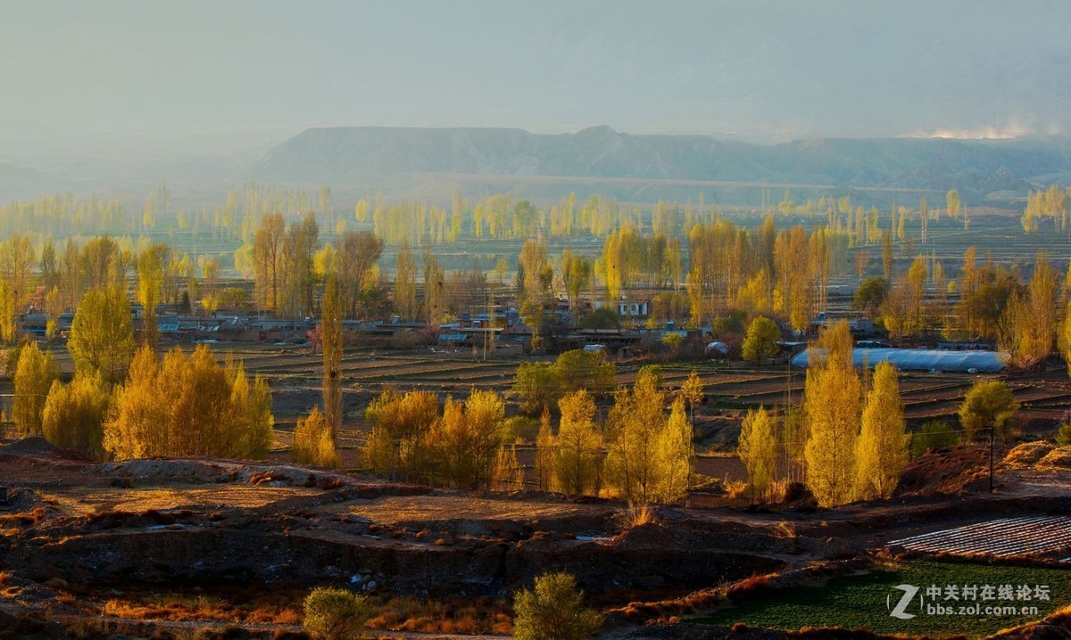 秀丽田园映霞晖（一）