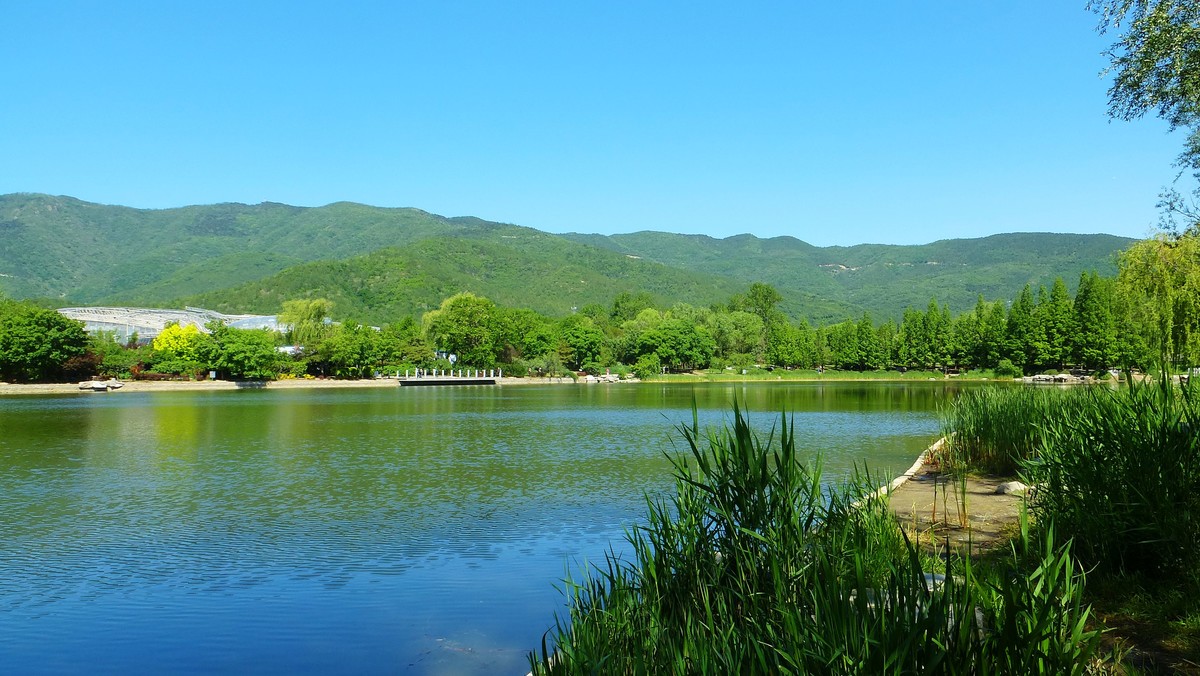 北京植物园小记