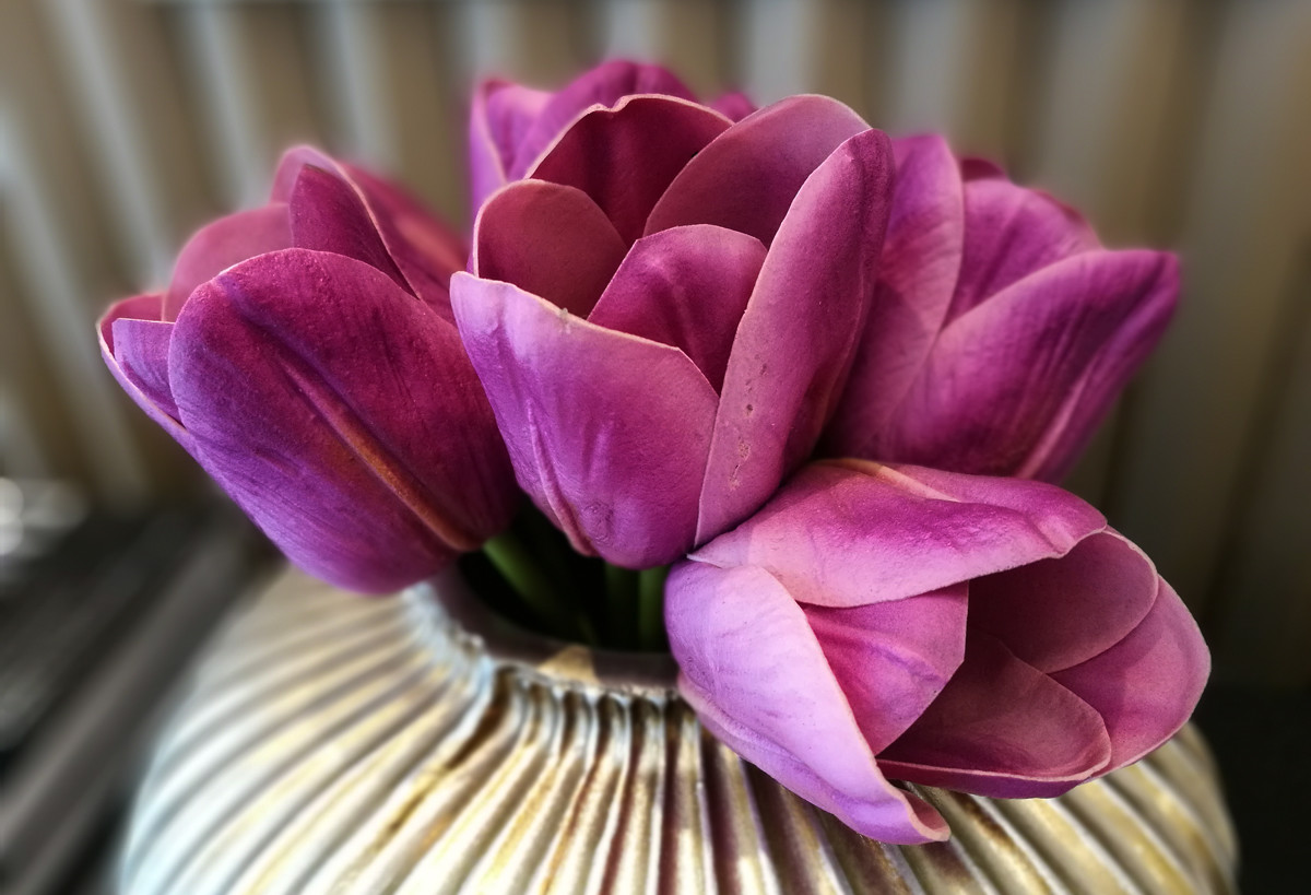 增城御溪谷--随拍