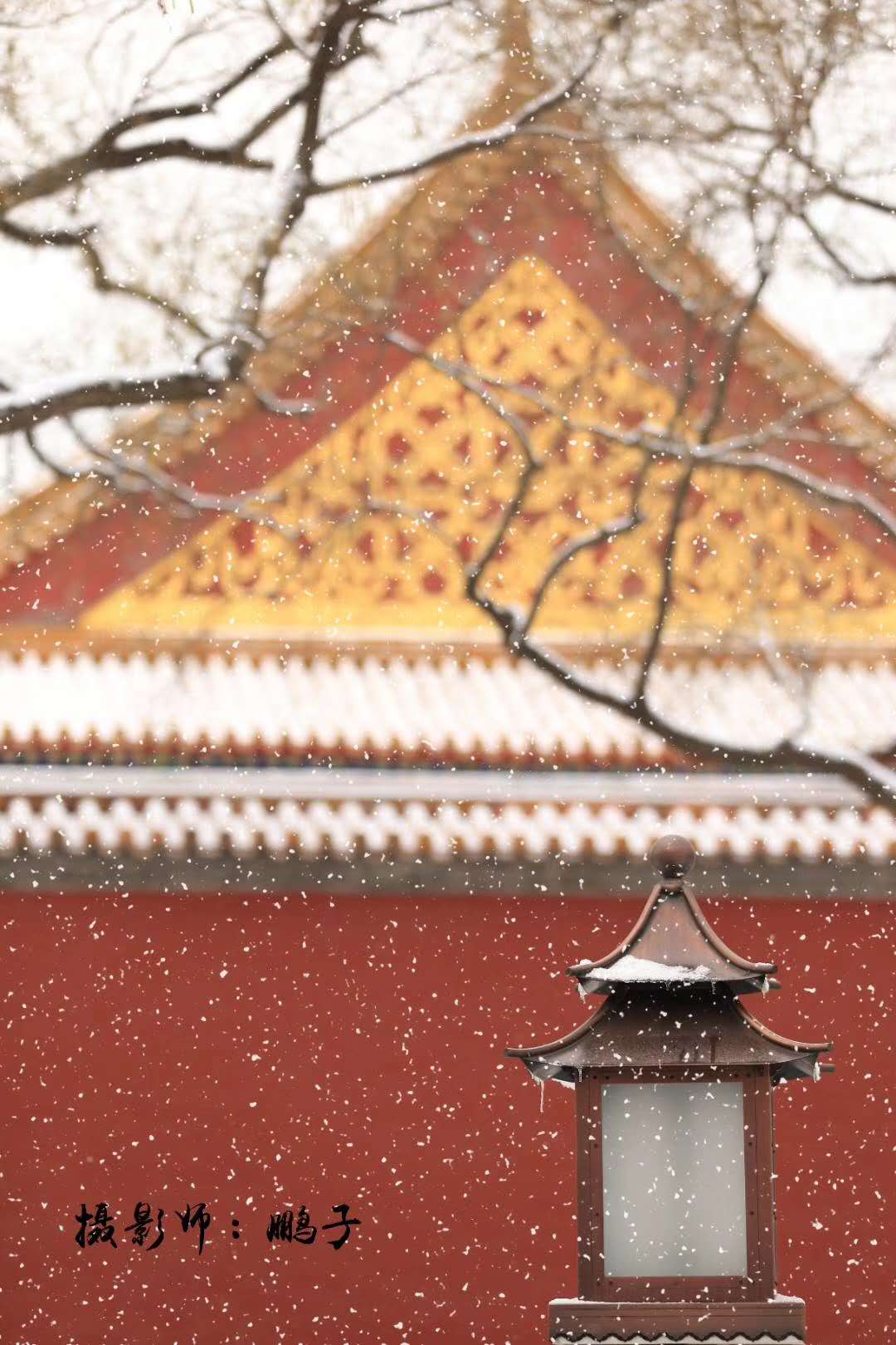 故宫的美，故宫的雪。