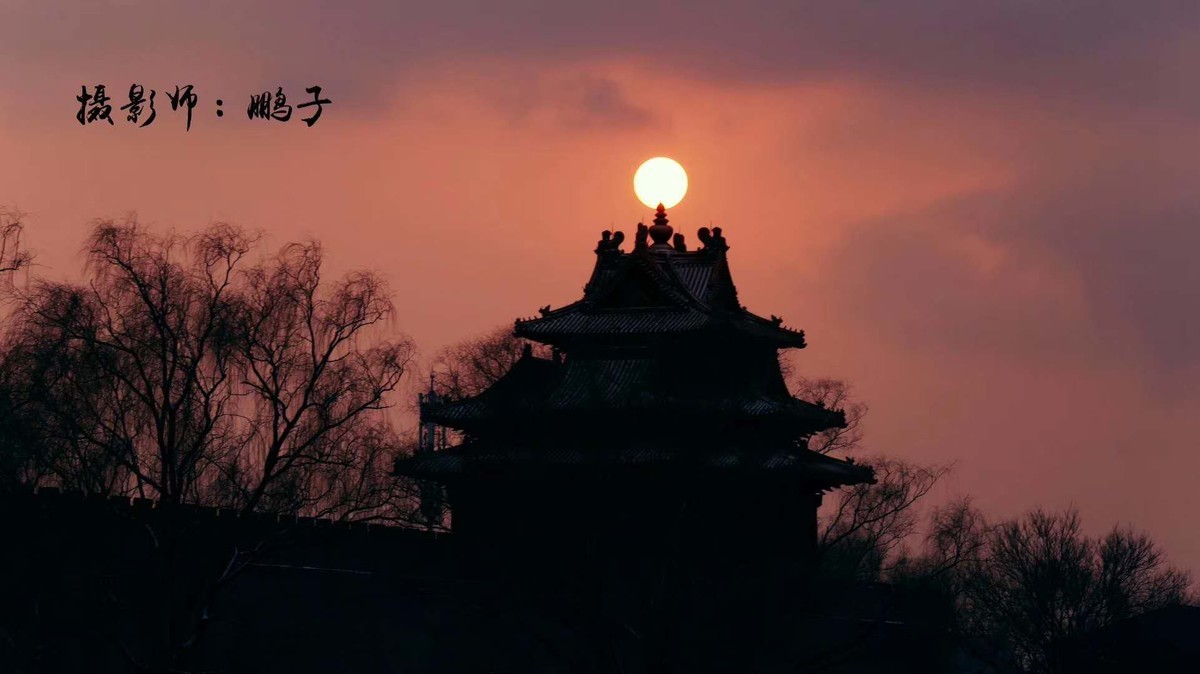 故宫的美，故宫的雪。