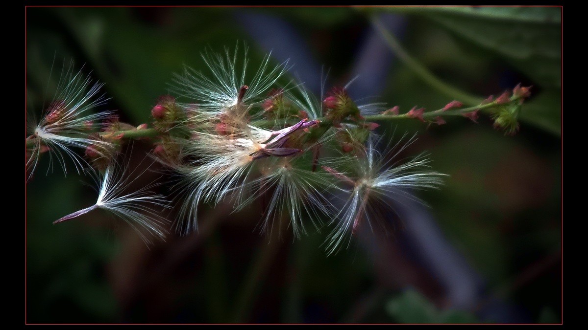 几片《小品》到此滥竽。