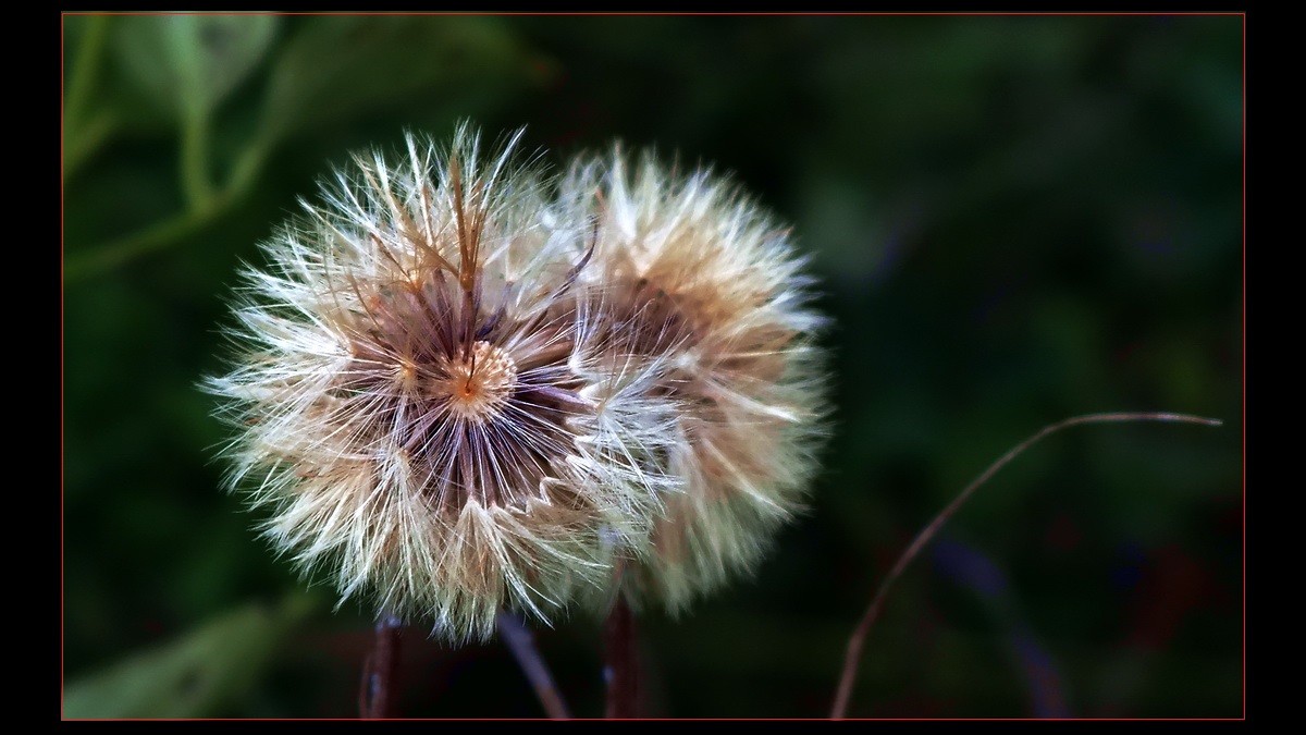 几片《小品》到此滥竽。