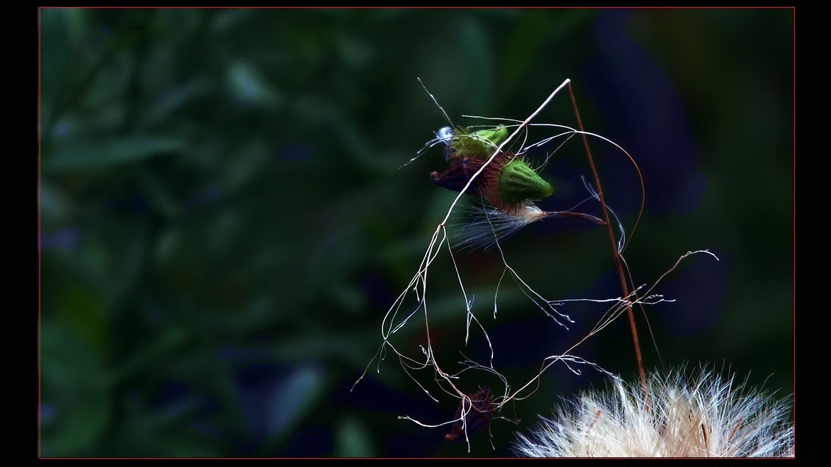 几片《小品》到此滥竽。