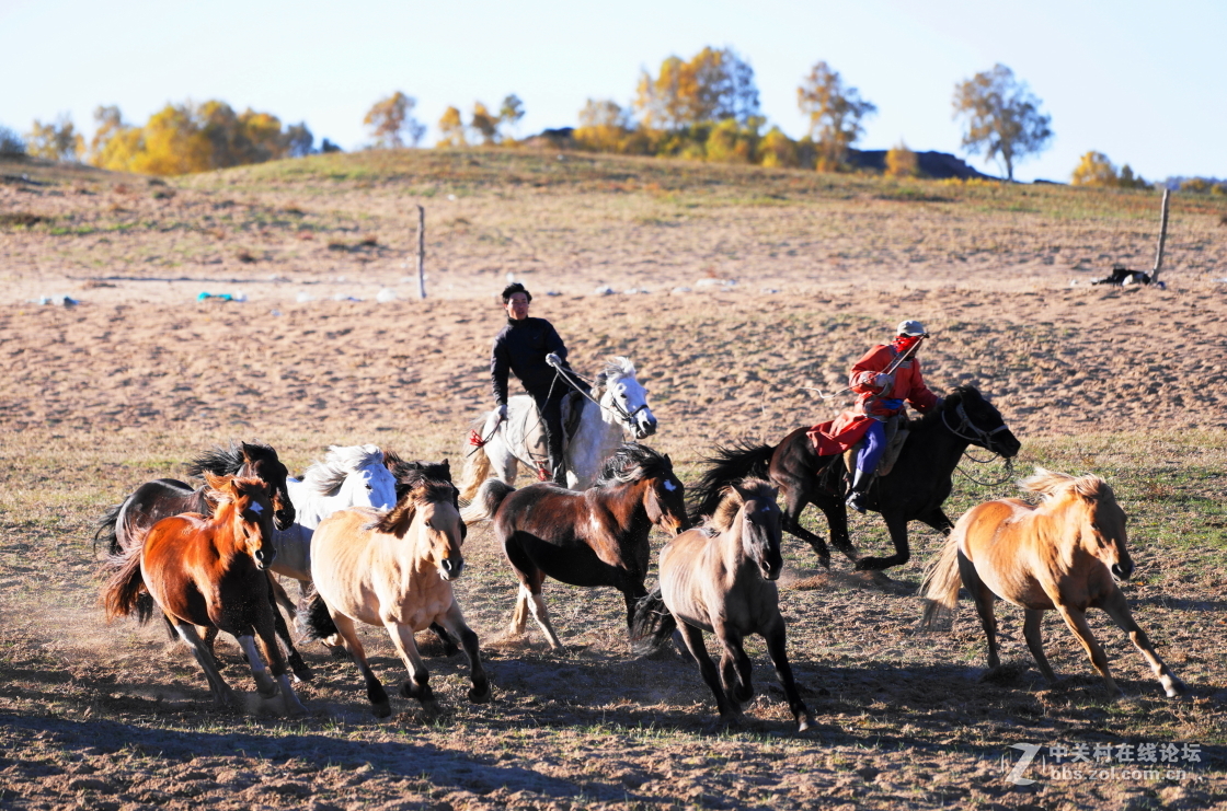坝上之旅－奔马图