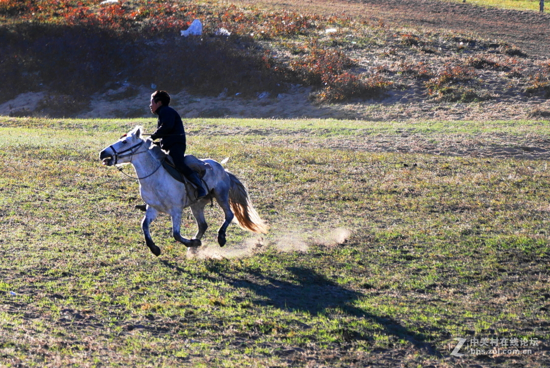 坝上之旅－奔马图