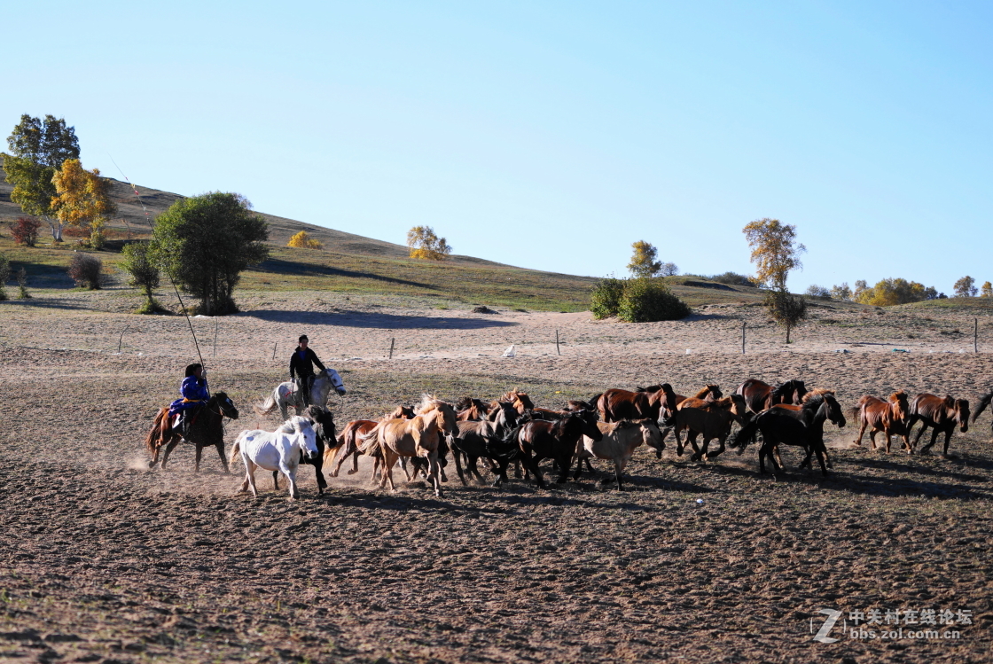 坝上之旅－奔马图