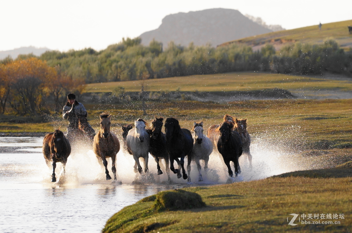 坝上之旅－奔马图
