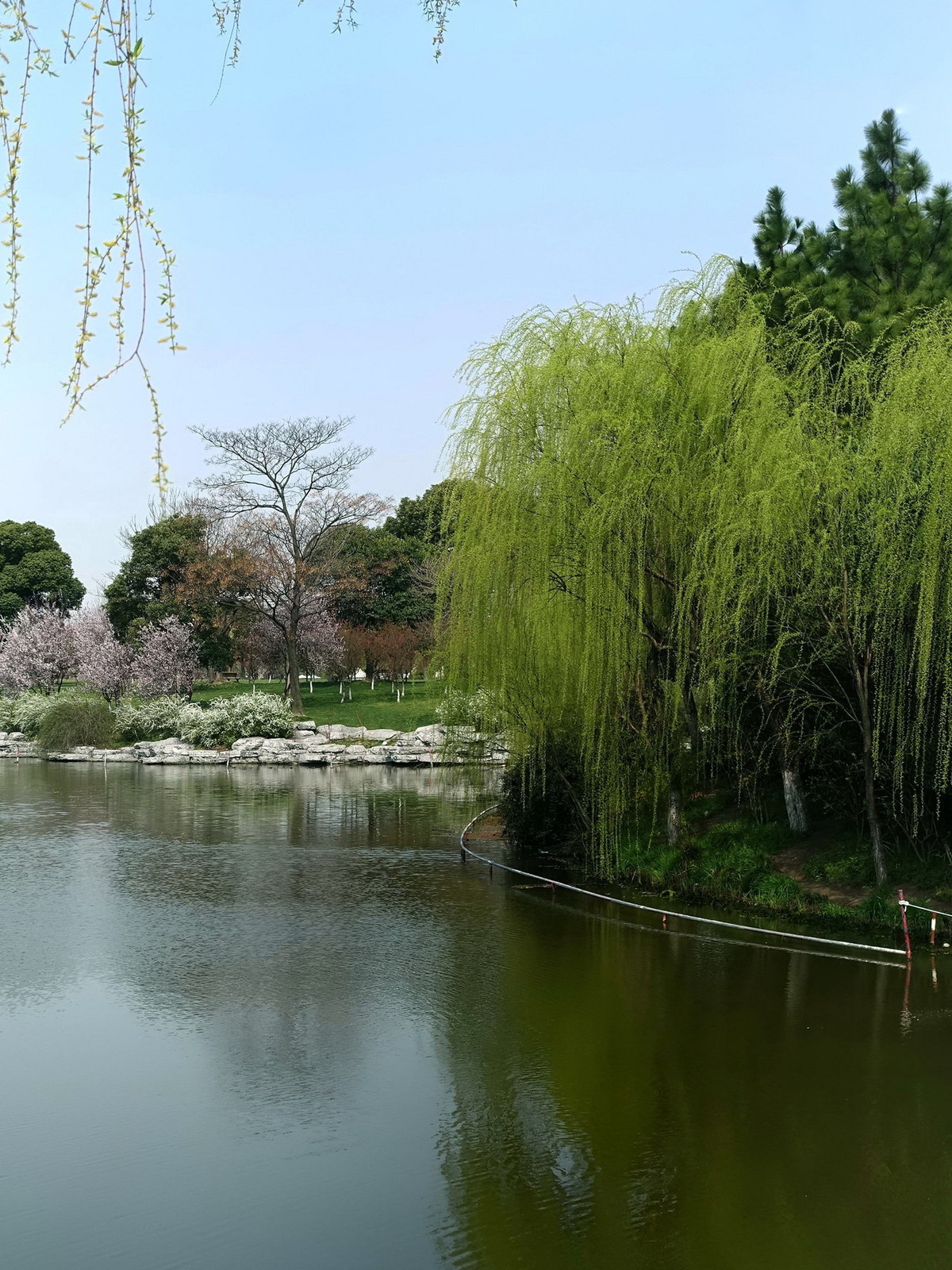 #版主坐堂# [尼康D7100星空(中国)] 2015年12月份部分精华作品总汇