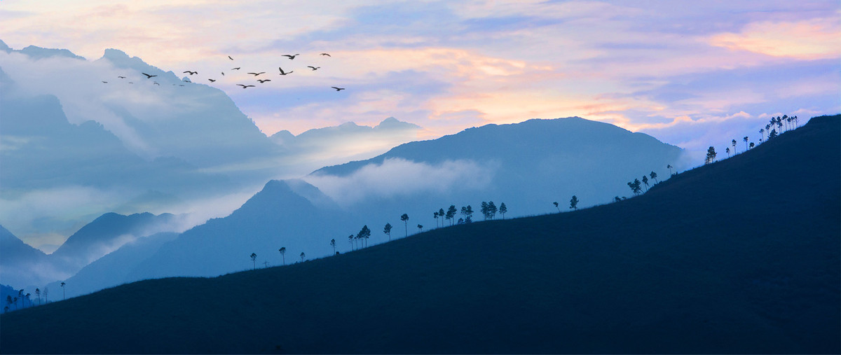 #版主坐堂# [尼康D7100星空(中国)] 2015年12月份部分精华作品总汇