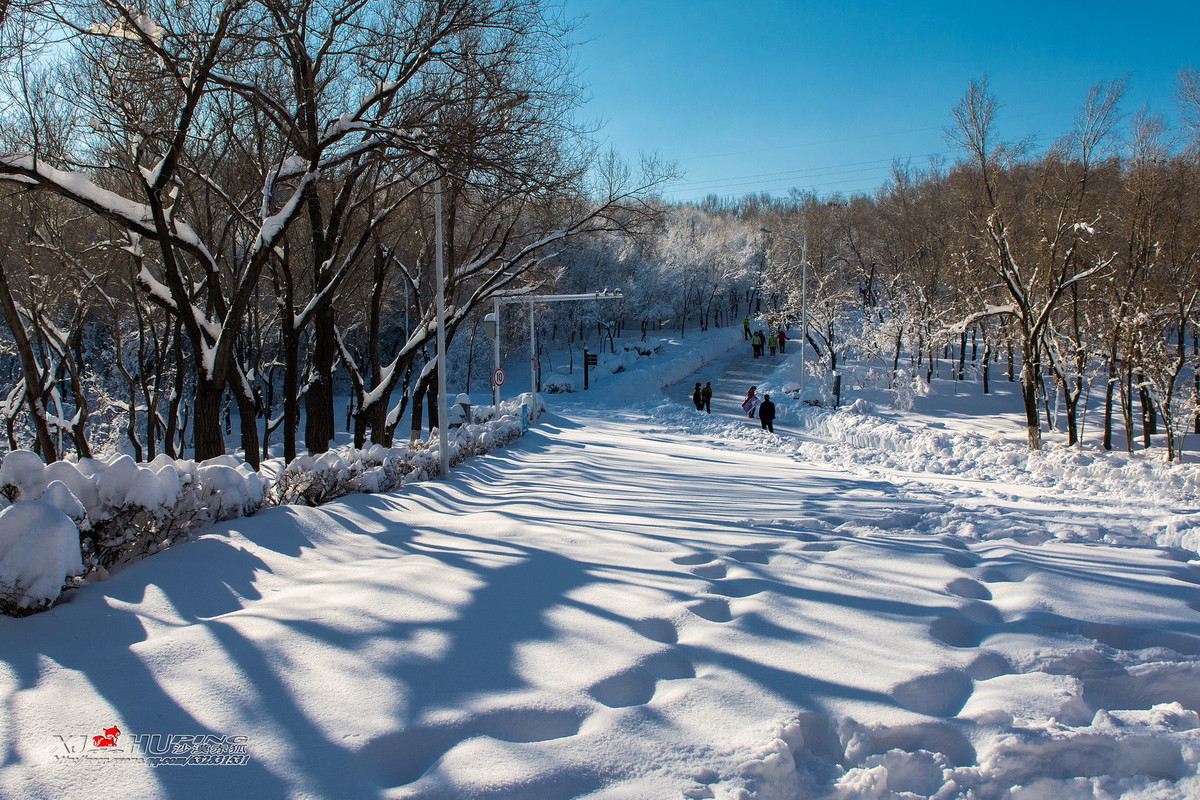 #版主坐堂# [尼康D7100星空(中国)] 2015年12月份部分精华作品总汇