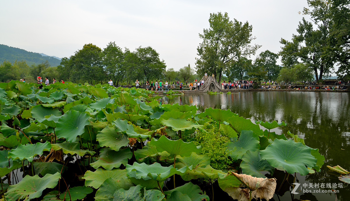 #我的2015摄影总结#- 风光篇