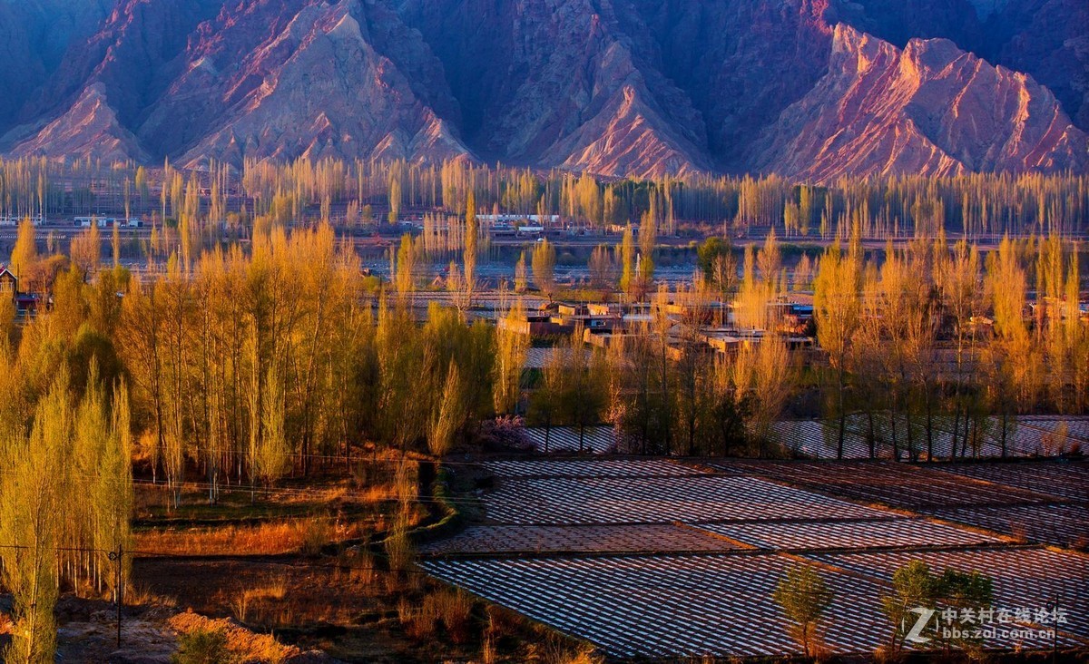 秀丽田园映霞晖（一）