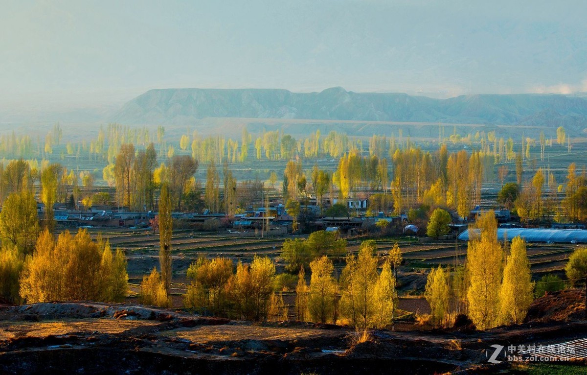 秀丽田园映霞晖（一）