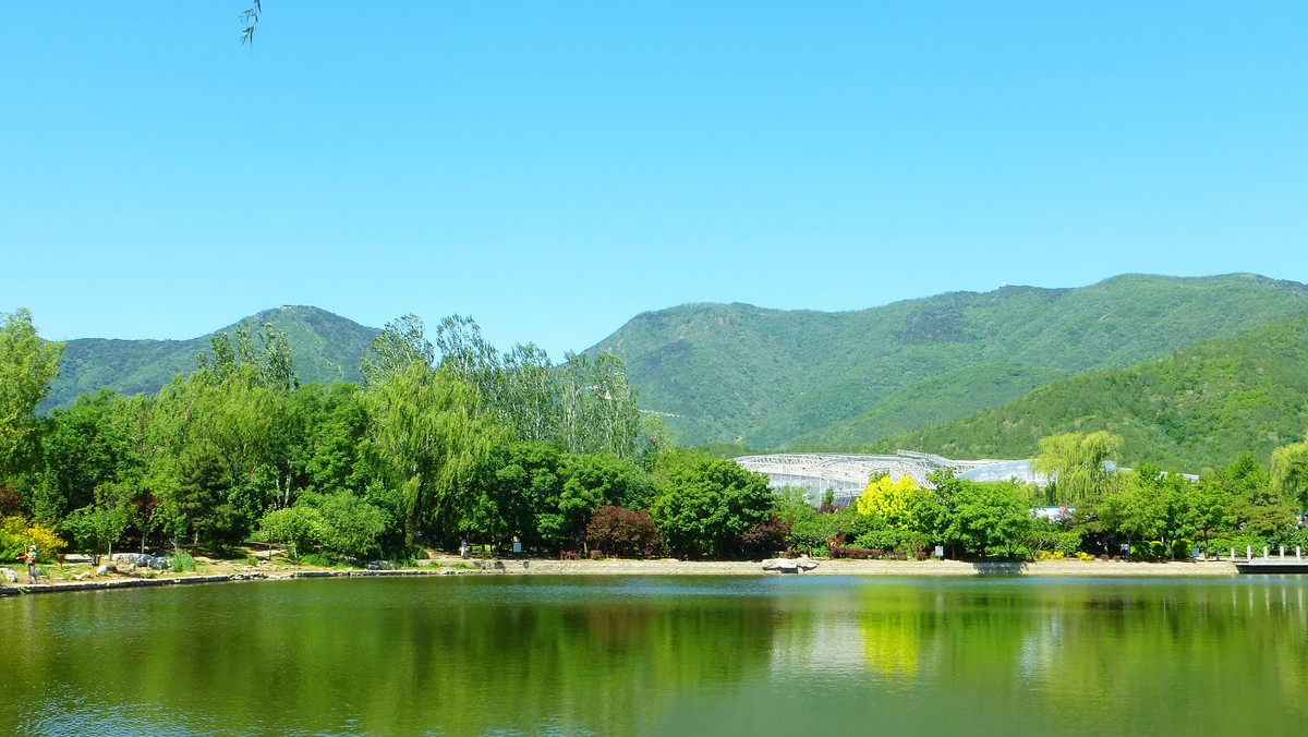 北京植物园小记