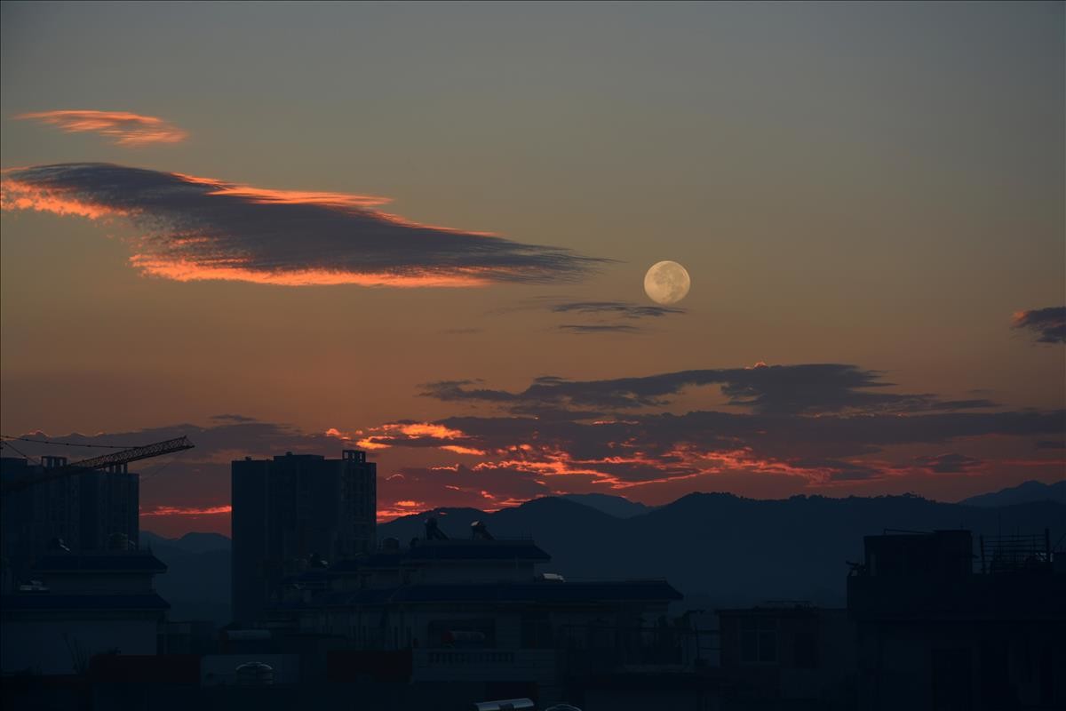 晨早匆匆赶拍忙！