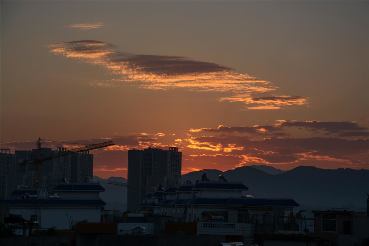 晨早匆匆赶拍忙！