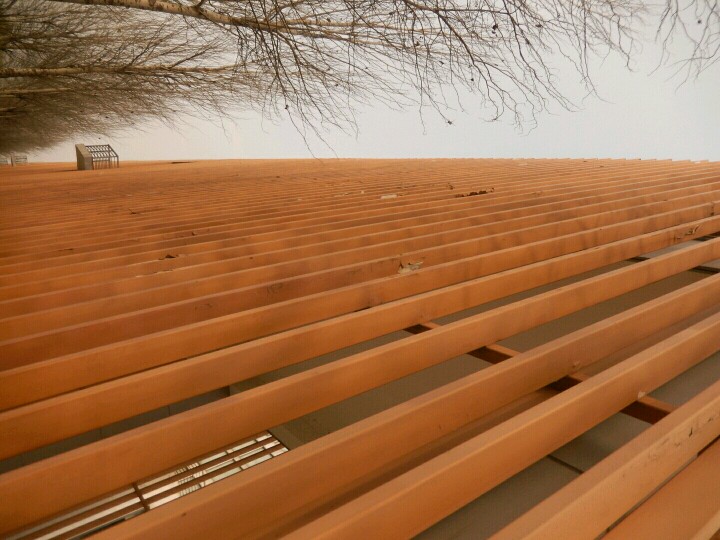 新人第一次拍照发帖