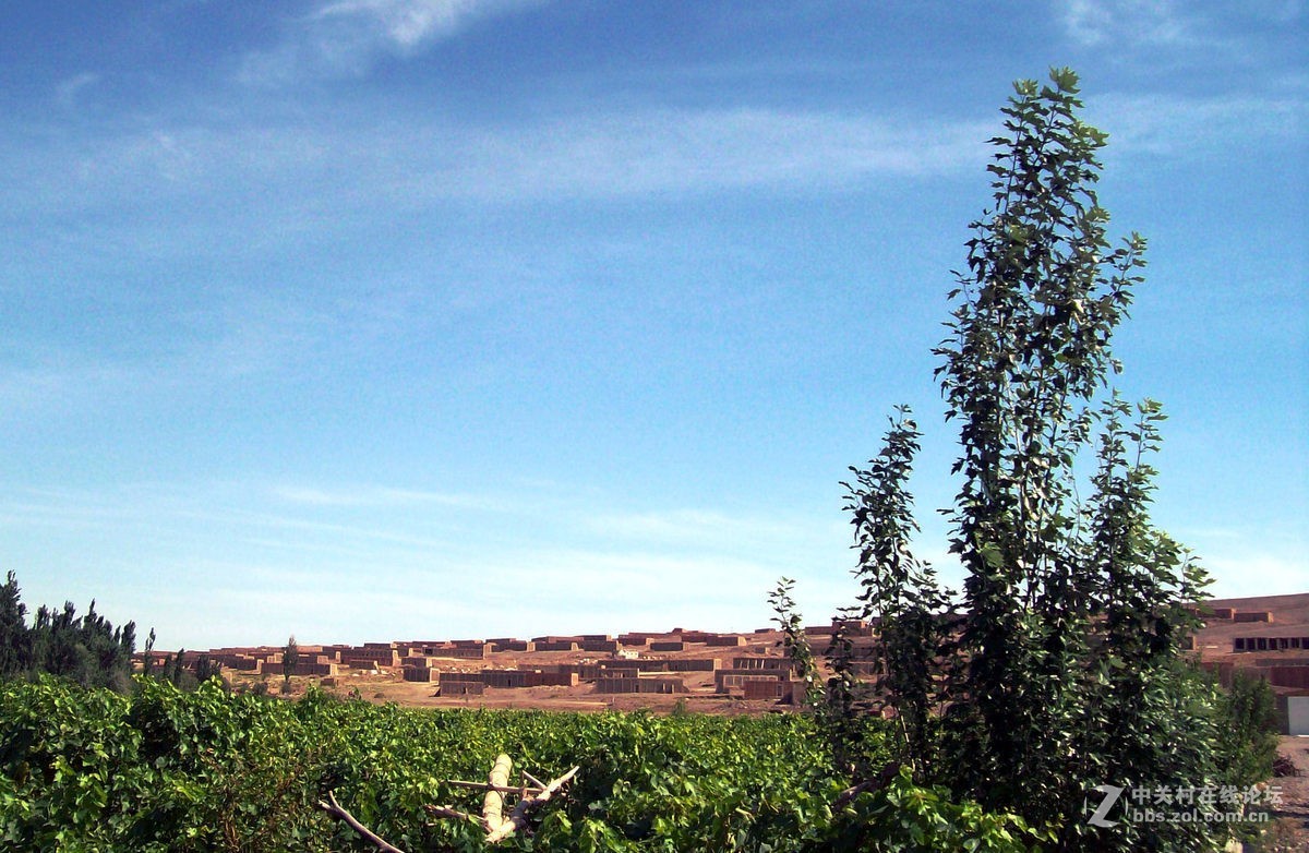 2017夏 长沙到喀什（42）葡萄晾房