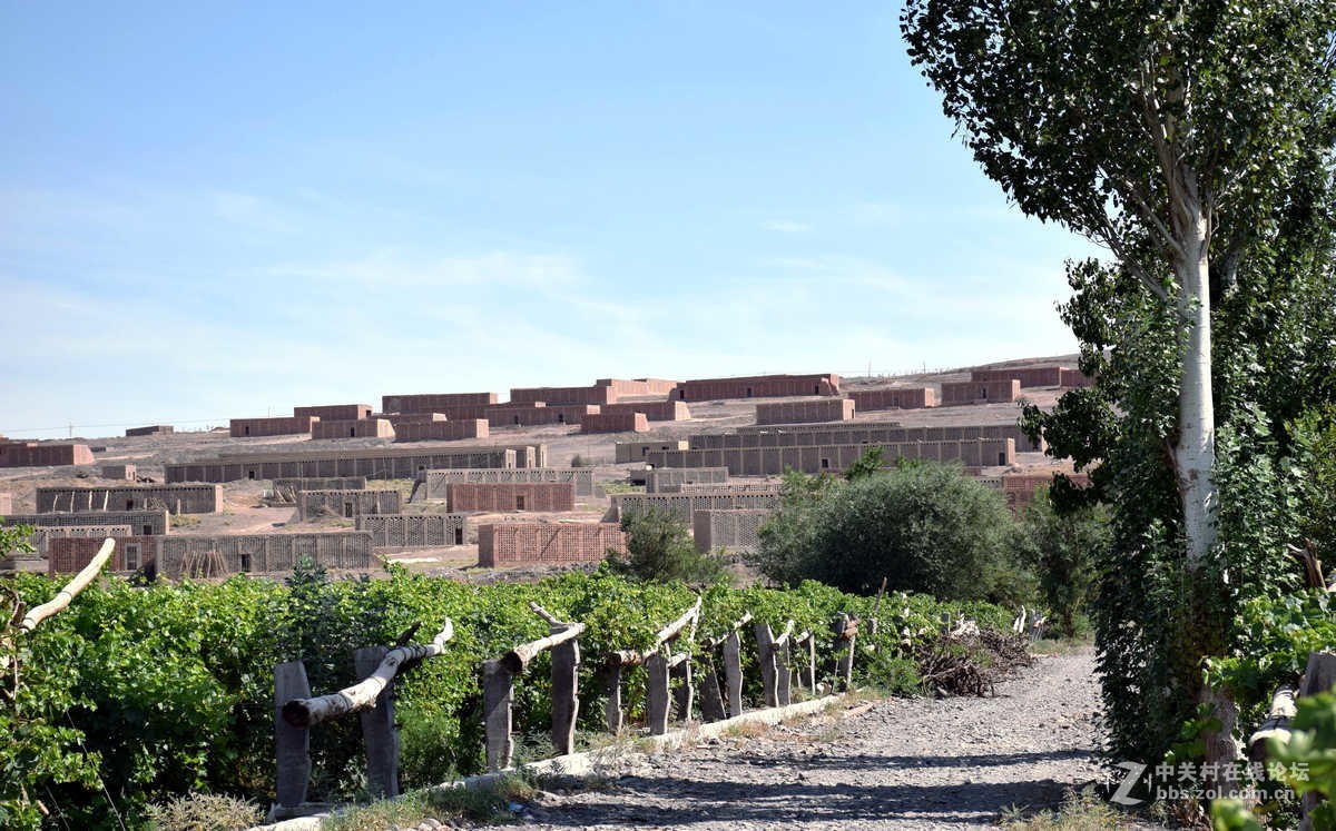 2017夏 长沙到喀什（42）葡萄晾房