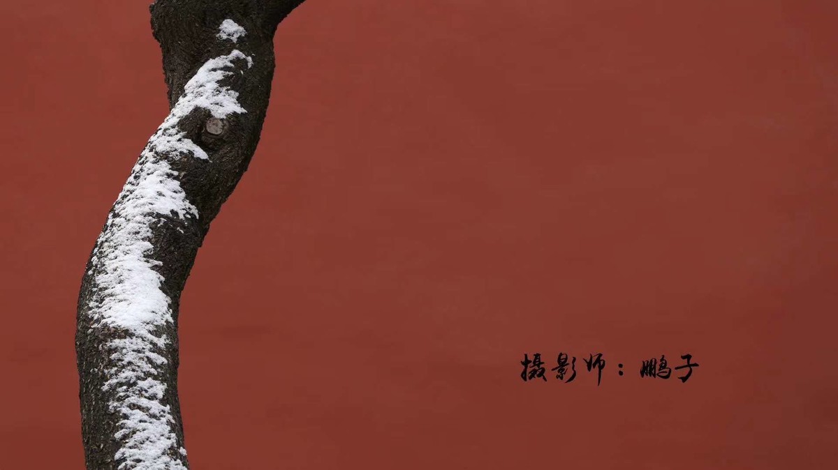 故宫的美，故宫的雪。