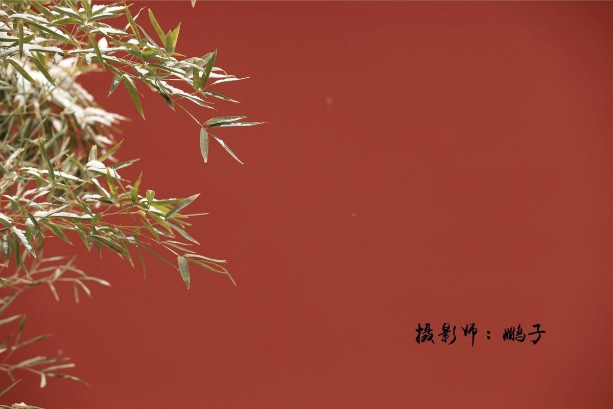 故宫的美，故宫的雪。