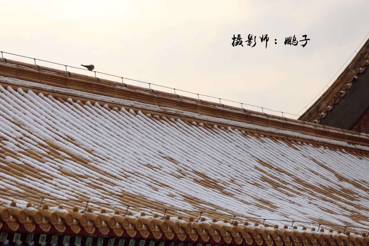 故宫的美，故宫的雪。