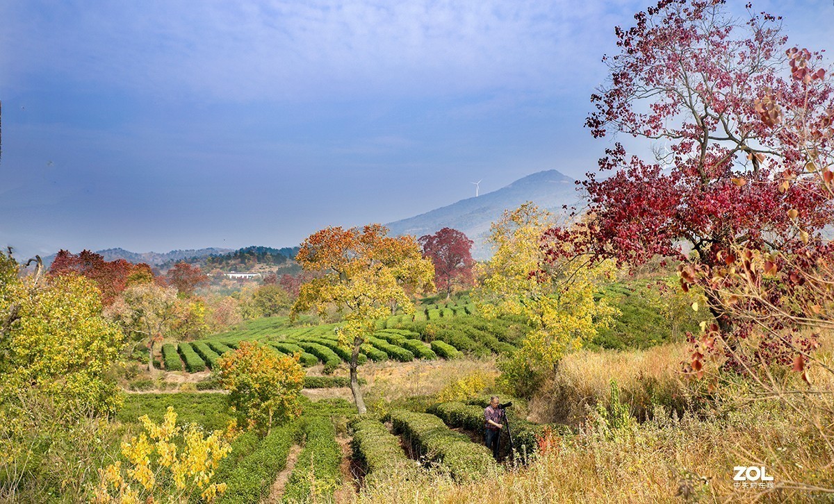 #ZOL月赛晒秋# 山乡红叶