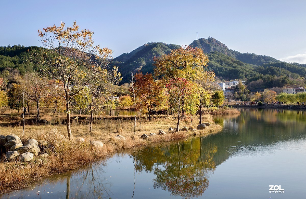 #ZOL月赛晒秋# 山乡红叶