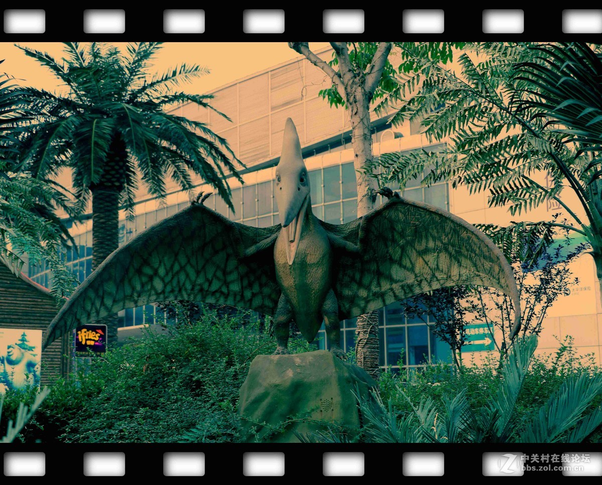 中国淄博国际会展中心