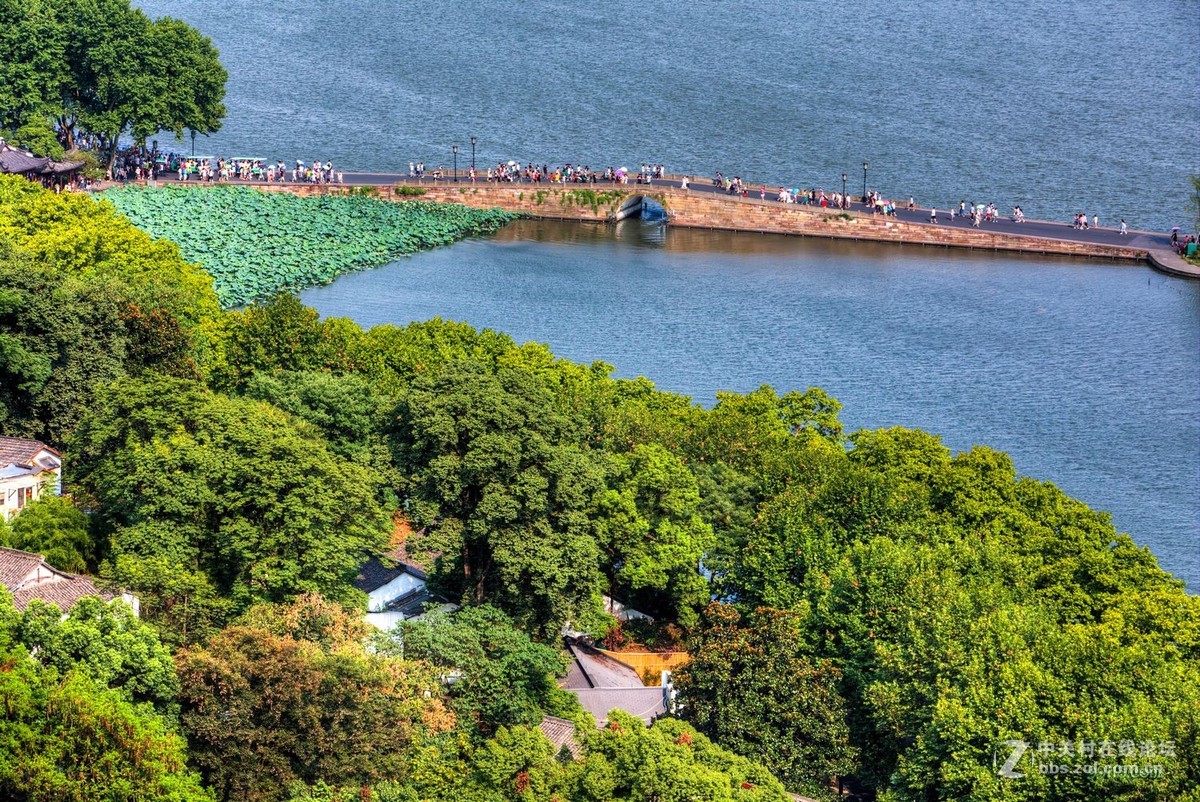 杭州宝石山上看西湖断桥，保叔塔