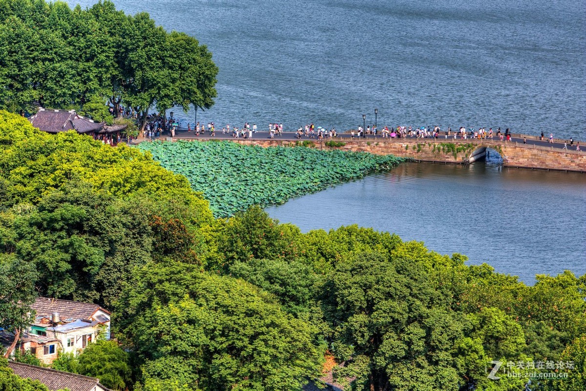 杭州宝石山上看西湖断桥，保叔塔