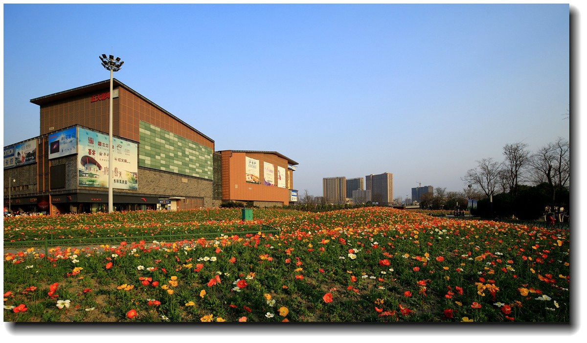 #ZOL月赛-三月风光无限好# _ 成都欢乐谷踏青