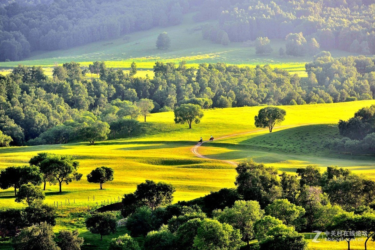 美丽的大草原一望无垠确似一幅美丽的画卷