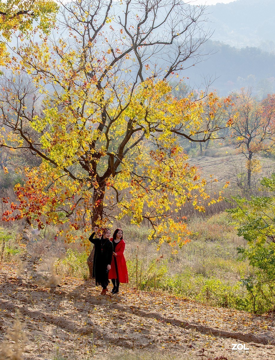 #ZOL月赛晒秋# 山乡红叶