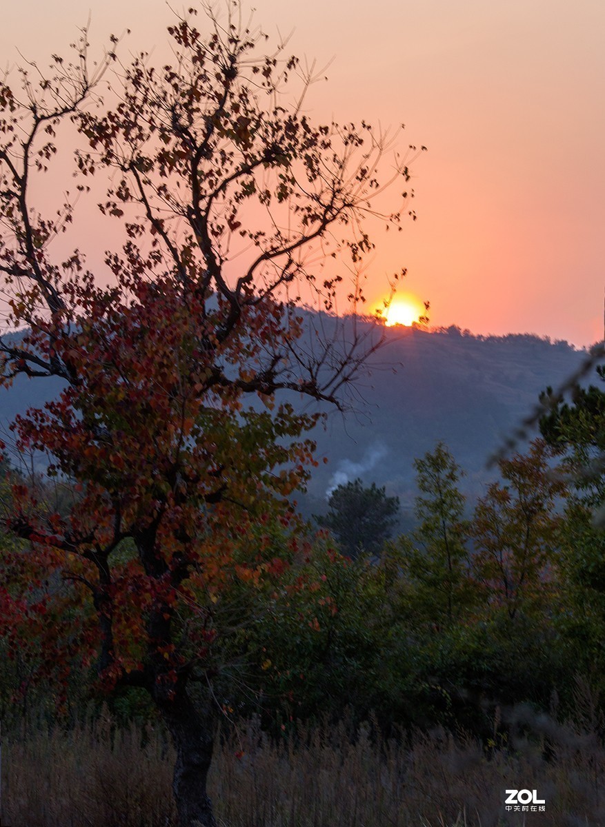#ZOL月赛晒秋# 山乡红叶
