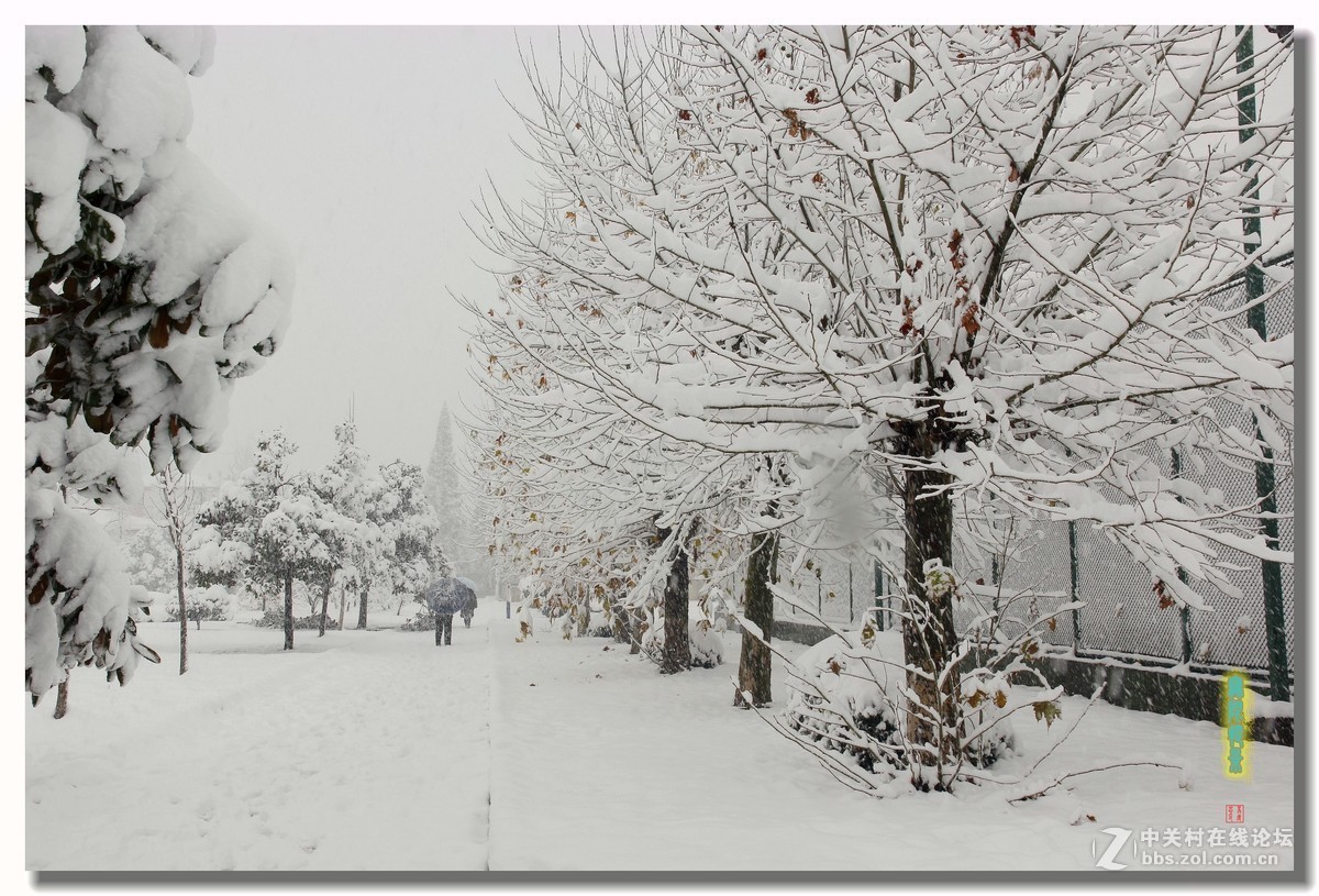 #版主坐堂#2015年12月份《承德》优秀作品选辑