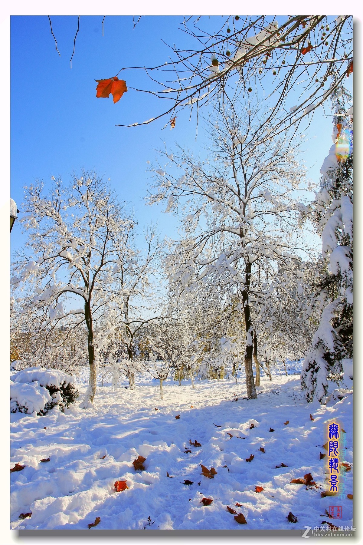 #版主坐堂#2015年12月份《承德》优秀作品选辑