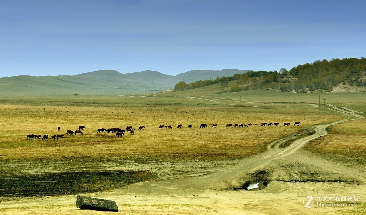 #版主坐堂#2015年12月份《承德》优秀作品选辑