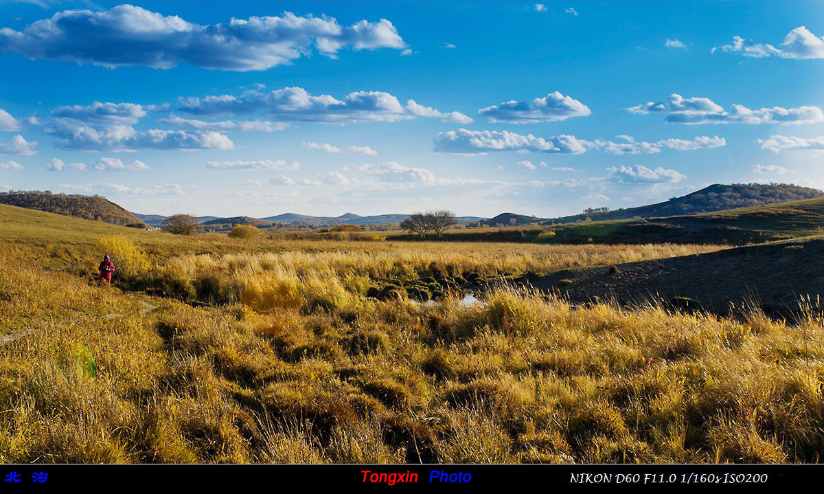 #版主坐堂#2015年12月份《承德》优秀作品选辑