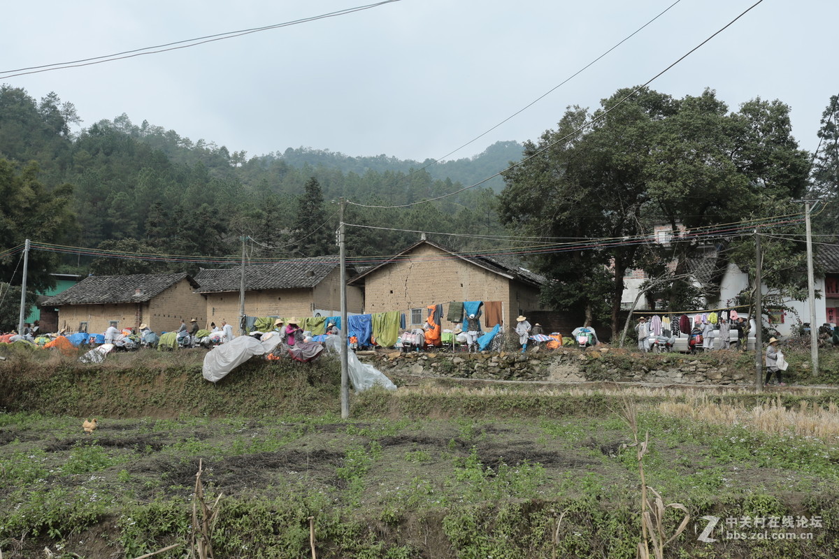 跟2015年说再见