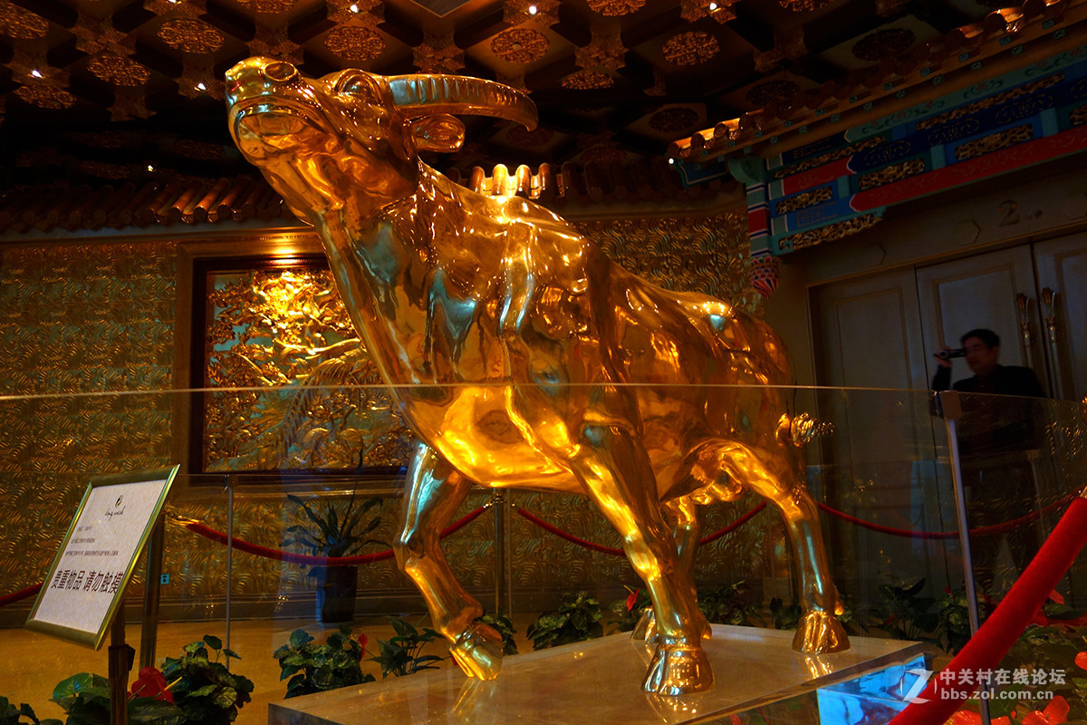 走进中国第一村——华西村（一）