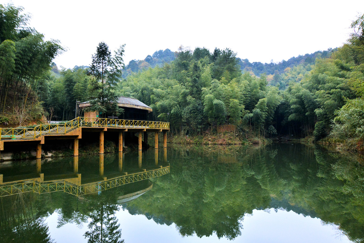 四川宣汉县鹅城竹海