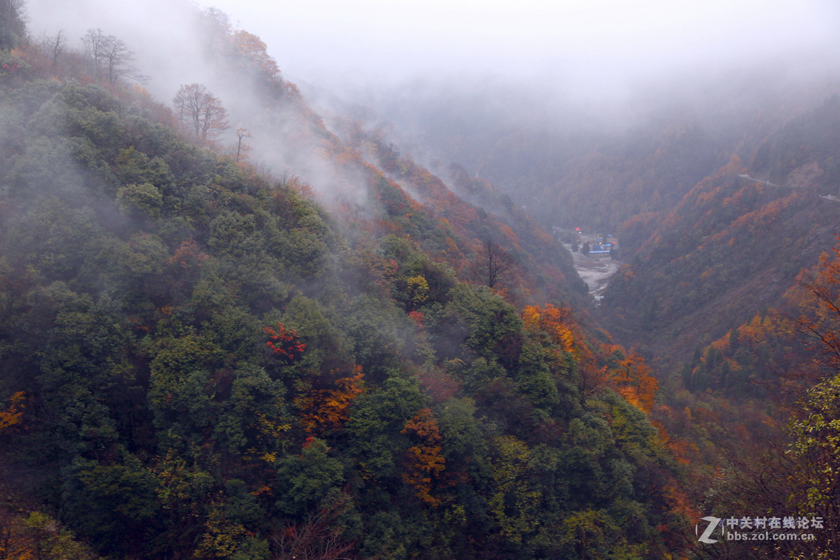 雨雾中的光雾山