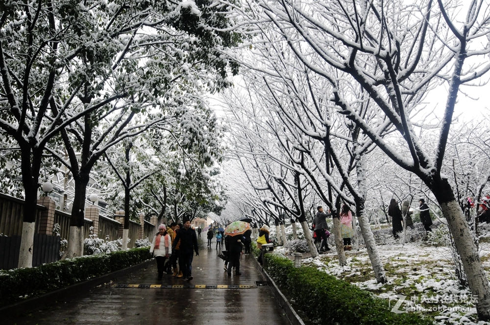 2016年雪景（重庆平顶山文化公园）